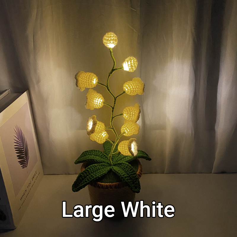LanternLilies™ 🌸 Lilies 💡