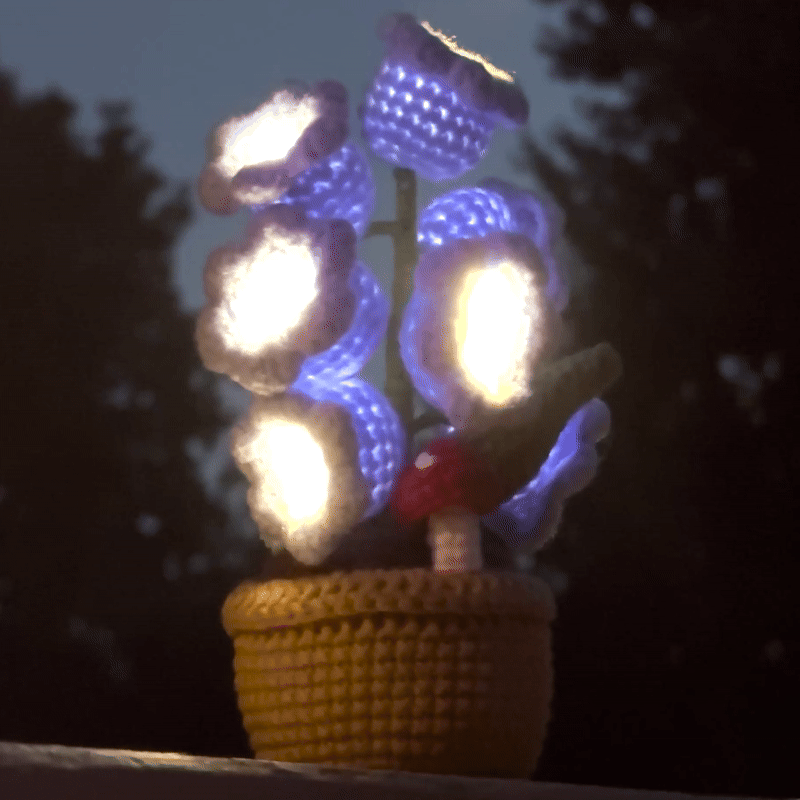 LanternLilies™ 🌸 Lilies 💡