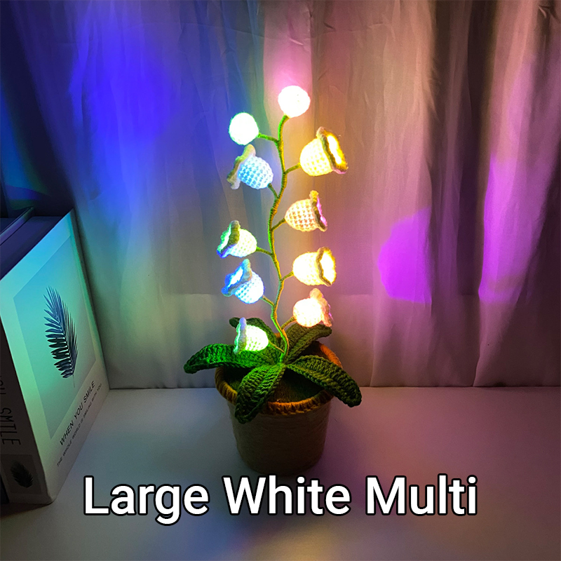 LanternLilies™ 🌸 Lilies 💡