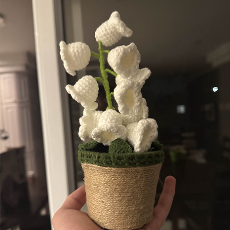 LanternLilies™ 🌸 Lilies 💡